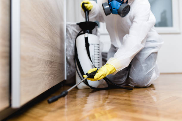 Wildlife Control Services in Hortonville, WI
