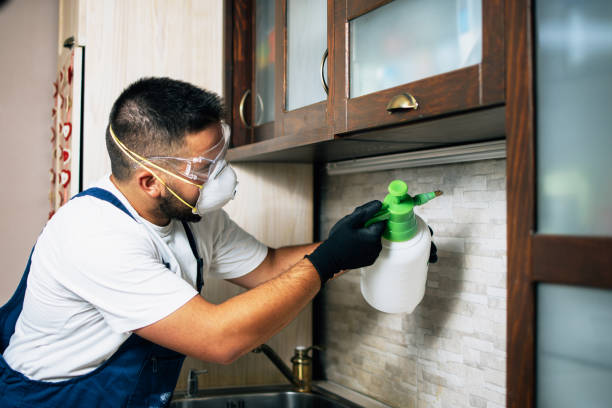 Best Pest Control Near Me  in Hortonville, WI
