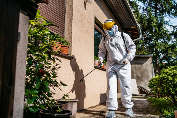 Best Best Pest Control Companies  in Hortonville, WI