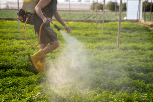 Best Ant Control Services  in Hortonville, WI