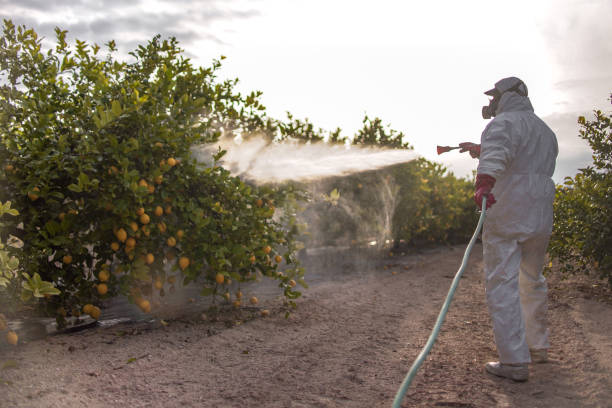 Best Wasp Removal Services  in Hortonville, WI