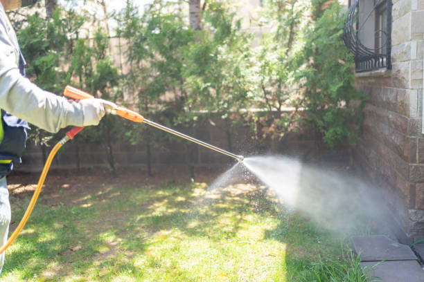Best Pest Prevention Services  in Hortonville, WI