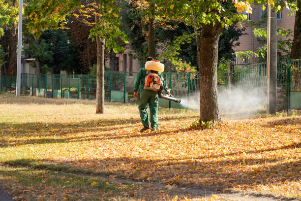 Best Rat Extermination Near Me  in Hortonville, WI