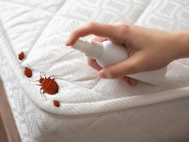 Best Wasp Removal Services  in Hortonville, WI