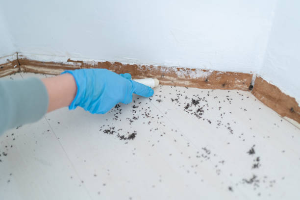 Best Commercial Pest Control Services  in Hortonville, WI