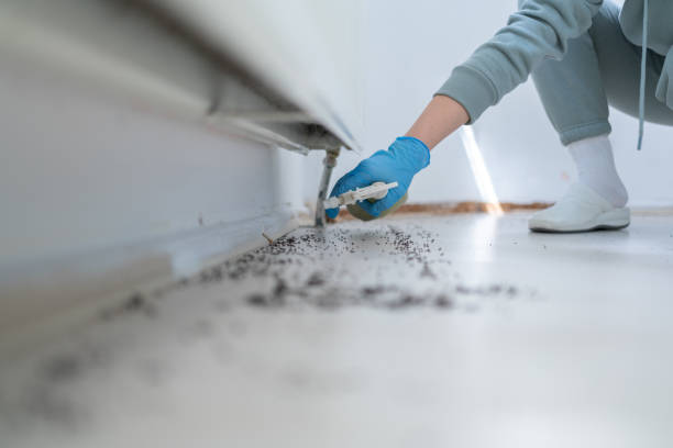 Best Affordable Pest Control Services  in Hortonville, WI